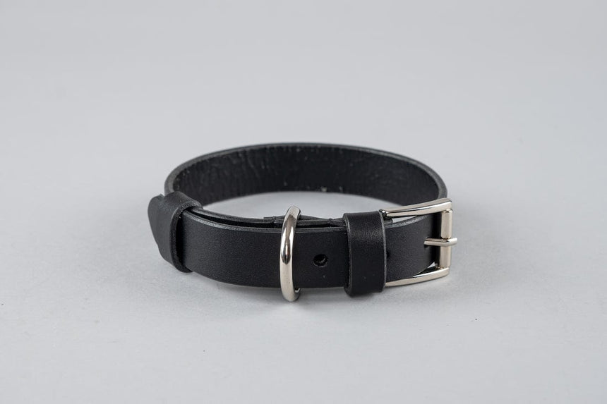 Pet Collar