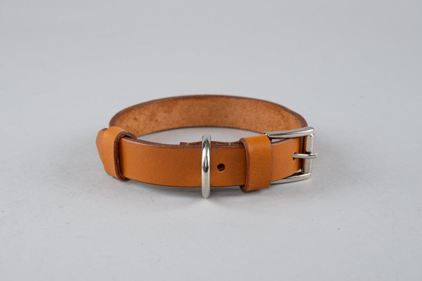 Pet Collar